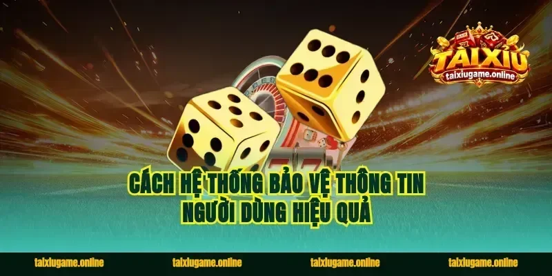 Cách Hệ Thống Bảo Vệ Thông Tin Người Dùng Hiệu Quả
