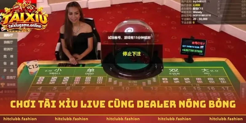 Chơi tài xỉu live cùng dealer nóng bỏng