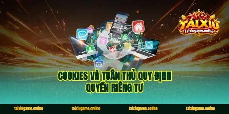 Cookies và tuân thủ quy định quyền riêng tư
