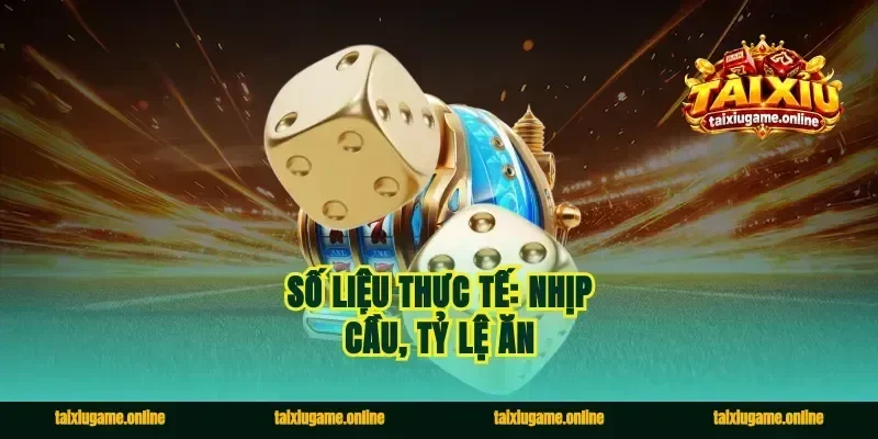 Số liệu thực tế: nhịp cầu, tỷ lệ ăn