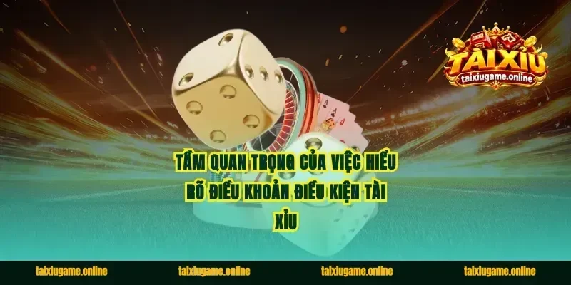 Tầm quan trọng của việc hiểu rõ điều khoản điều kiện tài xỉu