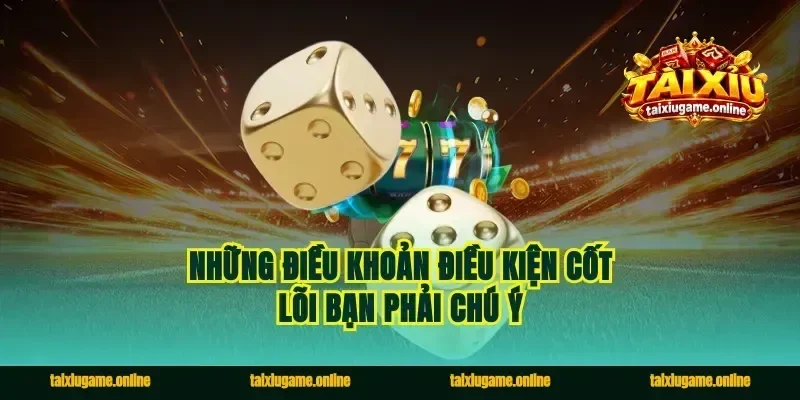 Những điều khoản điều kiện cốt lõi bạn phải chú ý