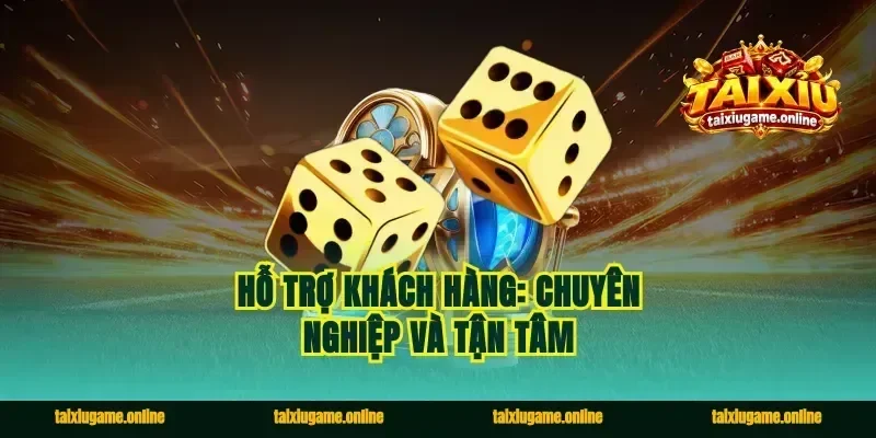 Hỗ trợ khách hàng: Chuyên nghiệp và Tận tâm