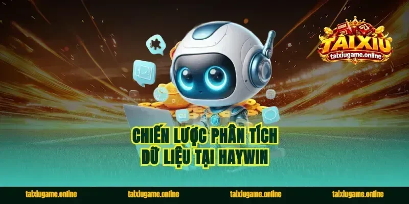 Chiến lược phân tích dữ liệu tại Haywin