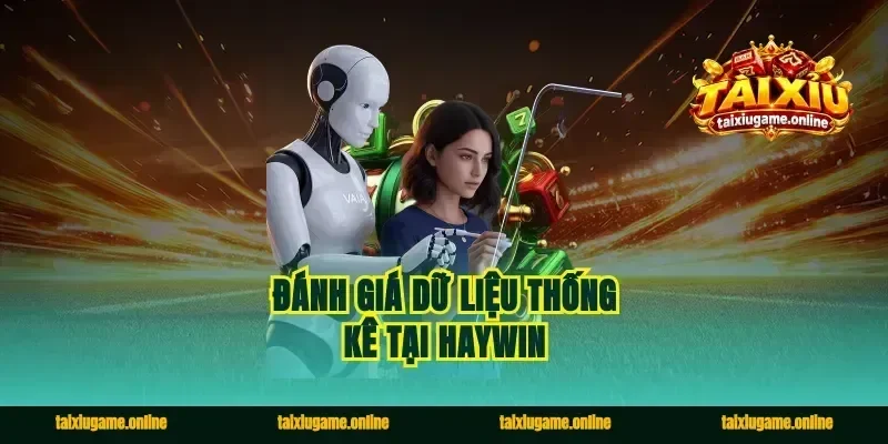 Đánh giá dữ liệu thống kê tại Haywin