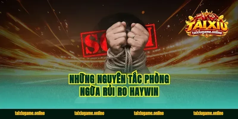 Những nguyên tắc phòng ngừa rủi ro Haywin