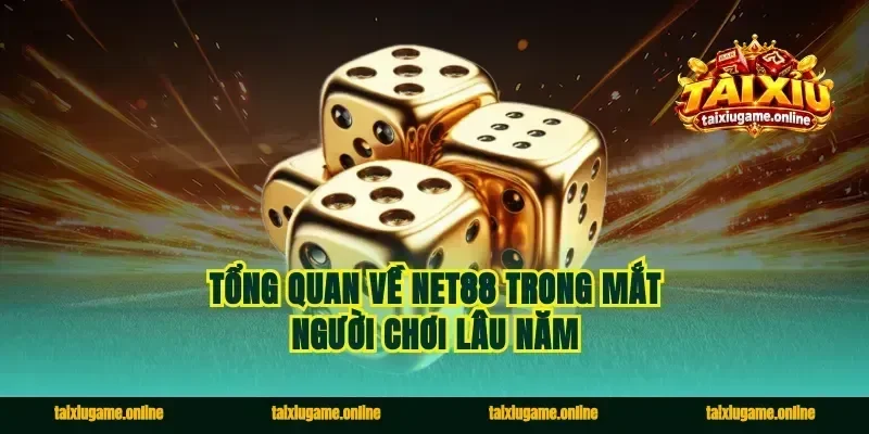 Tổng quan về Net88 trong mắt người chơi lâu năm