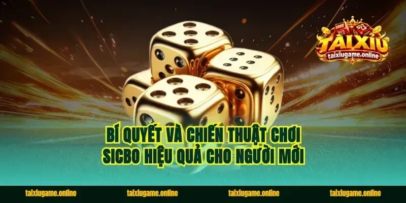 Bí quyết và chiến thuật chơi Sicbo hiệu quả cho người mới