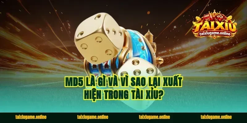 MD5 là gì và vì sao lại xuất hiện trong tài xỉu?