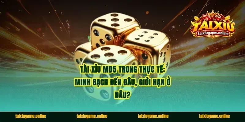 Tài xỉu MD5 trong thực tế: Minh bạch đến đâu, giới hạn ở đâu?