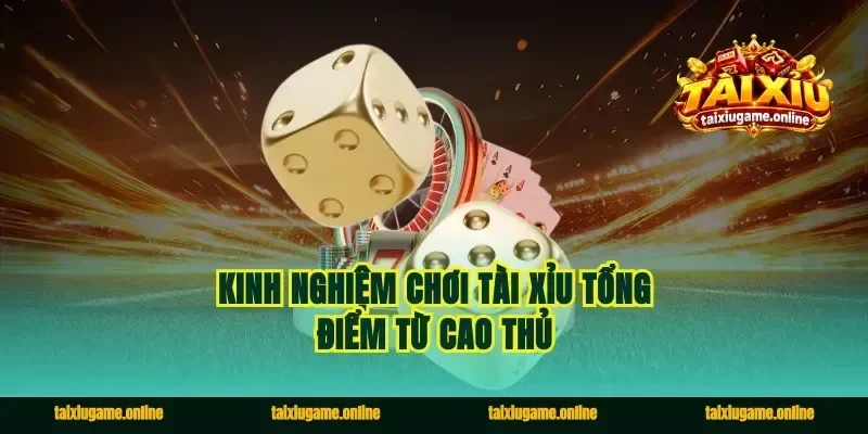 Kinh nghiệm chơi tài xỉu tổng điểm từ cao thủ