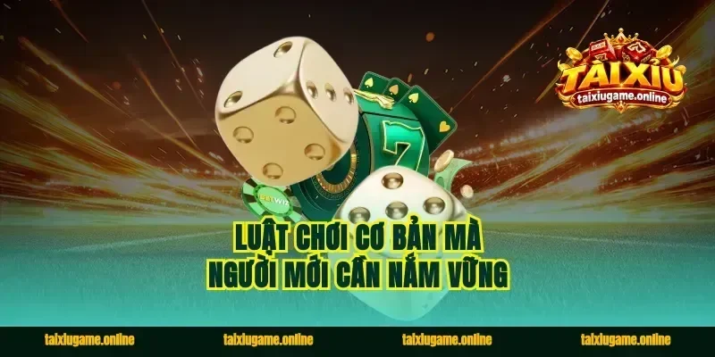 Luật chơi cơ bản mà người mới cần nắm vững