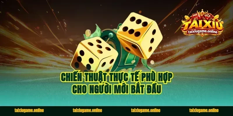 Chiến thuật thực tế phù hợp cho người mới bắt đầu
