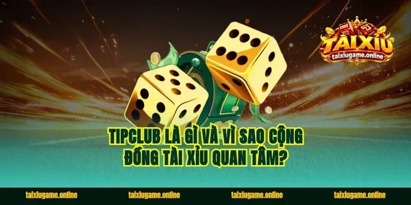 Tipclub là gì và vì sao cộng đồng tài xỉu quan tâm?