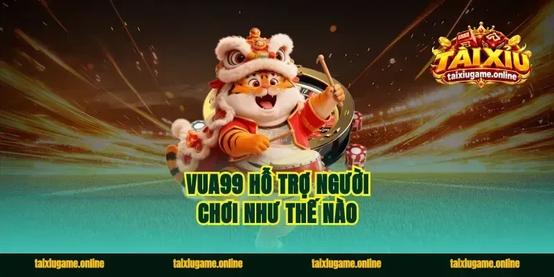 Vua99 Hỗ Trợ Người Chơi Như Thế Nào