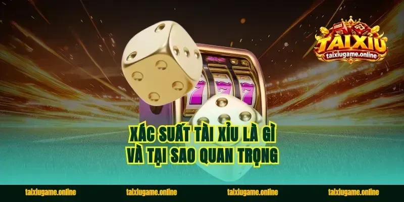 Xác Suất Tài Xỉu Là Gì Và Tại Sao Quan Trọng